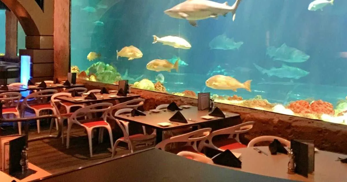 What is POS Software for Fish Restaurant